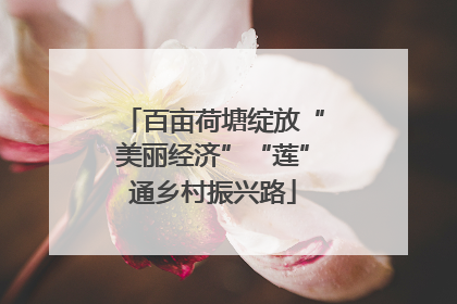 百亩荷塘绽放“美丽经济”“莲”通乡村振兴路