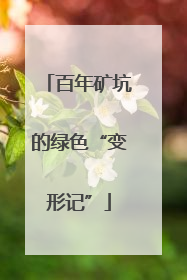百年矿坑的绿色“变形记”