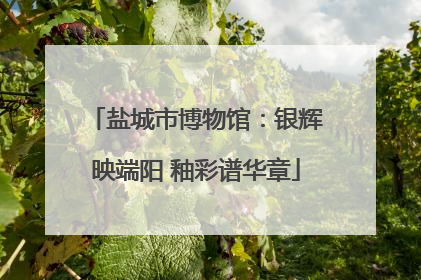 盐城市博物馆：银辉映端阳 釉彩谱华章