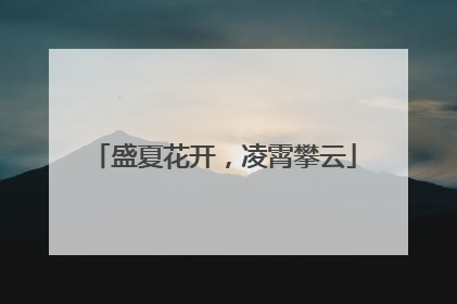 盛夏花开，凌霄攀云