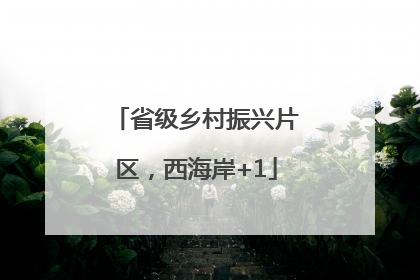 省级乡村振兴片区，西海岸+1