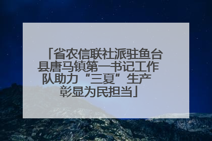省农信联社派驻鱼台县唐马镇第一书记工作队助力“三夏”生产 彰显为民担当