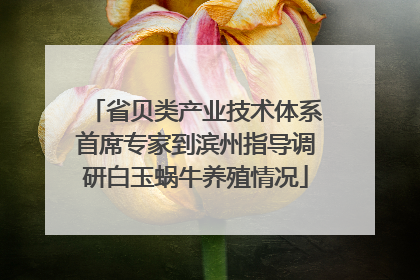 省贝类产业技术体系首席专家到滨州指导调研白玉蜗牛养殖情况