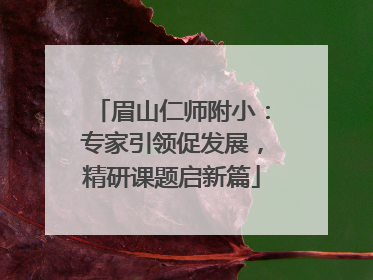 眉山仁师附小：专家引领促发展，精研课题启新篇