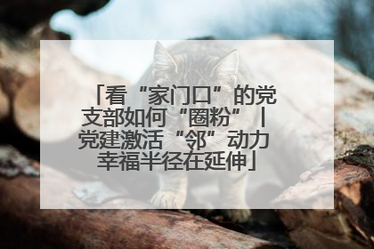 看“家门口”的党支部如何“圈粉”丨党建激活“邻”动力 幸福半径在延伸