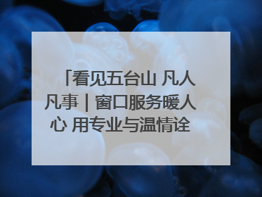看见五台山 凡人凡事｜窗口服务暖人心 用专业与温情诠释责任担当