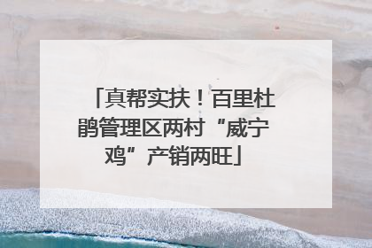 真帮实扶！百里杜鹃管理区两村“威宁鸡”产销两旺