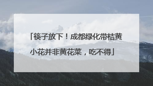 筷子放下！成都绿化带桔黄小花并非黄花菜，吃不得