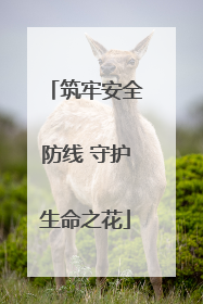 筑牢安全防线 守护生命之花