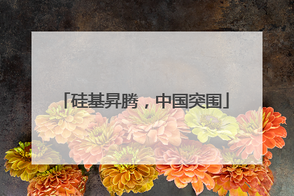 硅基昇腾，中国突围