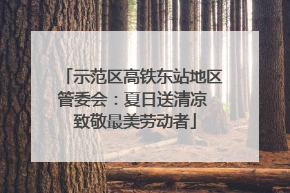 示范区高铁东站地区管委会：夏日送清凉 致敬最美劳动者