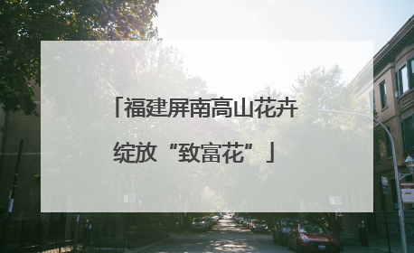 福建屏南高山花卉绽放“致富花”