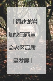 福建龙岩加快闽西革命老区高质量发展
