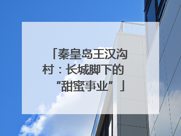 秦皇岛王汉沟村：长城脚下的“甜蜜事业”