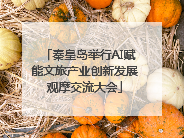 秦皇岛举行AI赋能文旅产业创新发展观摩交流大会