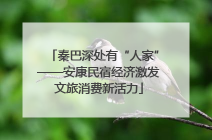 秦巴深处有“人家”——安康民宿经济激发文旅消费新活力