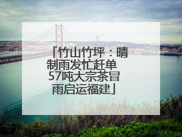 竹山竹坪：晴制雨发忙赶单 57吨大宗茶冒雨启运福建