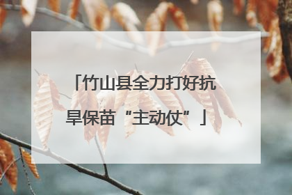 竹山县全力打好抗旱保苗“主动仗”
