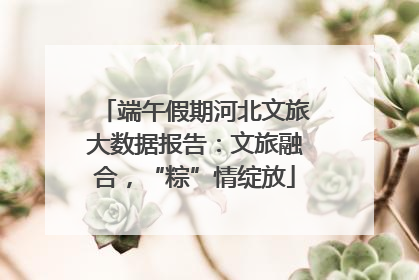 端午假期河北文旅大数据报告：文旅融合，“粽”情绽放