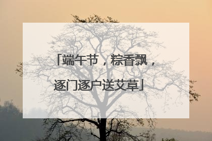端午节，粽香飘，逐门逐户送艾草