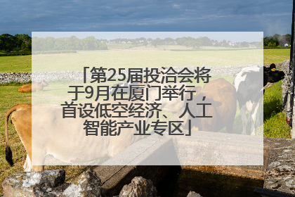 第25届投洽会将于9月在厦门举行，首设低空经济、人工智能产业专区