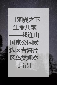 羽翼之下 生命共歌——祁连山国家公园候选区青海片区鸟类观察手记