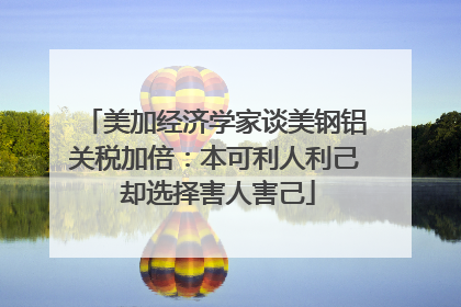 美加经济学家谈美钢铝关税加倍：本可利人利己 却选择害人害己