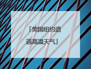 美国纽约遭遇高温天气