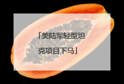 美陆军轻型坦克项目下马