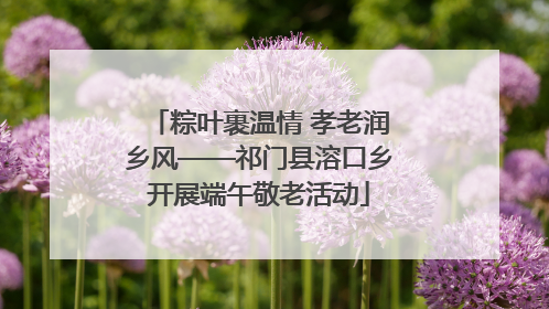 粽叶裹温情 孝老润乡风——祁门县溶口乡开展端午敬老活动