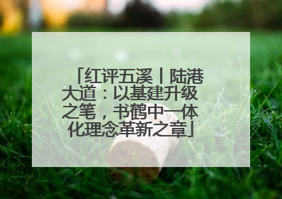 红评五溪丨陆港大道：以基建升级之笔，书鹤中一体化理念革新之章