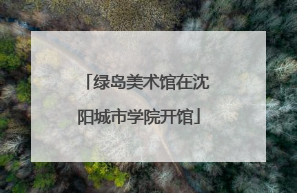 绿岛美术馆在沈阳城市学院开馆