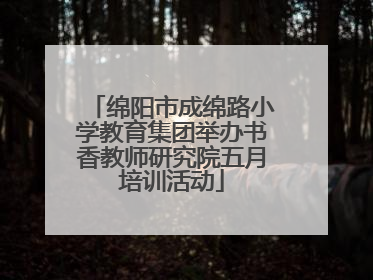 绵阳市成绵路小学教育集团举办书香教师研究院五月培训活动