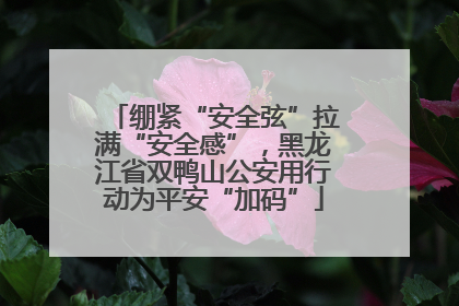 绷紧“安全弦”拉满“安全感”，黑龙江省双鸭山公安用行动为平安“加码”