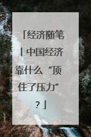 经济随笔丨中国经济靠什么“顶住了压力”？