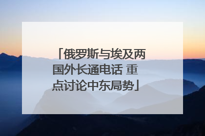 俄罗斯与埃及两国外长通电话 重点讨论中东局势