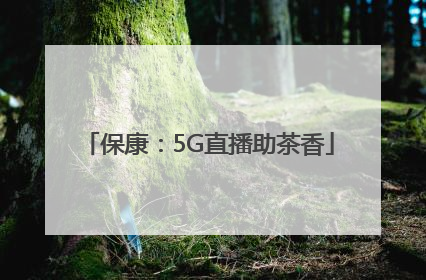 保康：5G直播助茶香