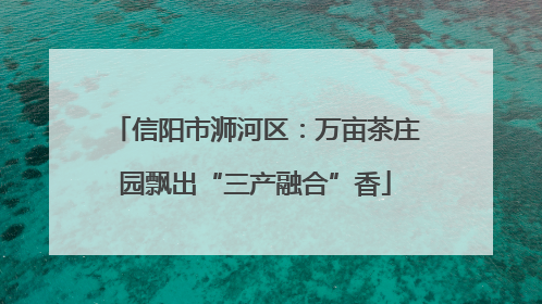 信阳市浉河区：万亩茶庄园飘出“三产融合”香