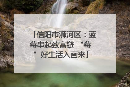信阳市浉河区：蓝莓串起致富链 “莓”好生活入画来