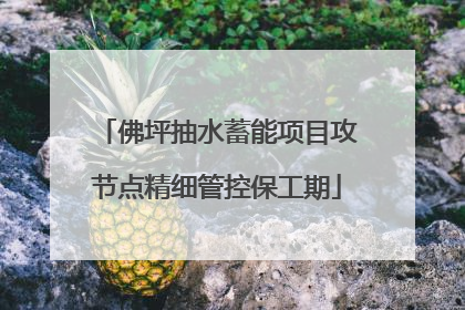 佛坪抽水蓄能项目攻节点精细管控保工期