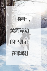 你听，黄河岸边的鸟儿正在歌唱