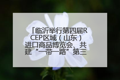 临沂举行第四届RCEP区域（山东）进口商品博览会、共建“一带一路”第三届临沂商城国际采购商大会新闻发布会