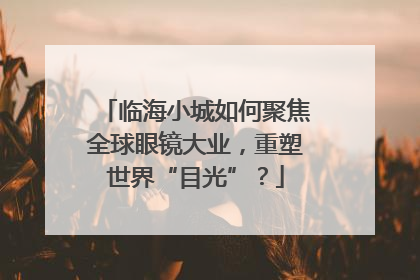 临海小城如何聚焦全球眼镜大业，重塑世界“目光”？