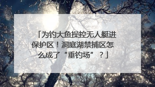 为钓大鱼操控无人艇进保护区！洞庭湖禁捕区怎么成了“垂钓场”？