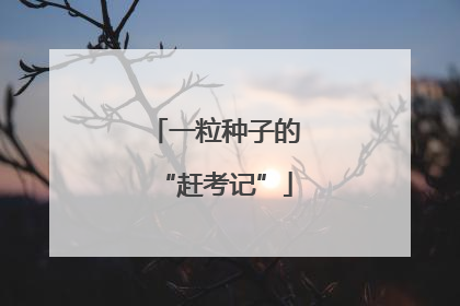 一粒种子的“赶考记”