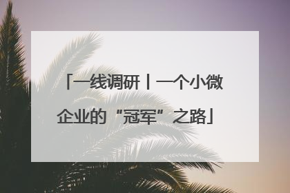 一线调研丨一个小微企业的“冠军”之路
