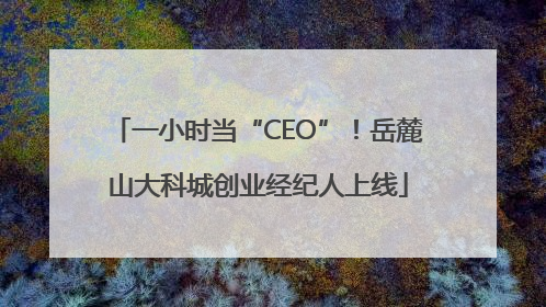 一小时当“CEO”！岳麓山大科城创业经纪人上线