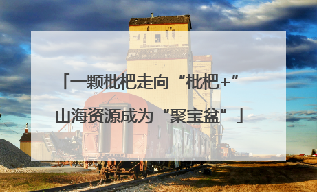 一颗枇杷走向“枇杷+” 山海资源成为“聚宝盆”