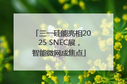 三一硅能亮相2025 SNEC展，智能微网成焦点