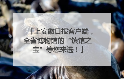 上安徽日报客户端，全省博物馆的“镇馆之宝”等您来选！